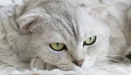 kaiyun中国官方网站-冬季重赛决定争冠球队与降级球队未来走势，冬季赛事项目